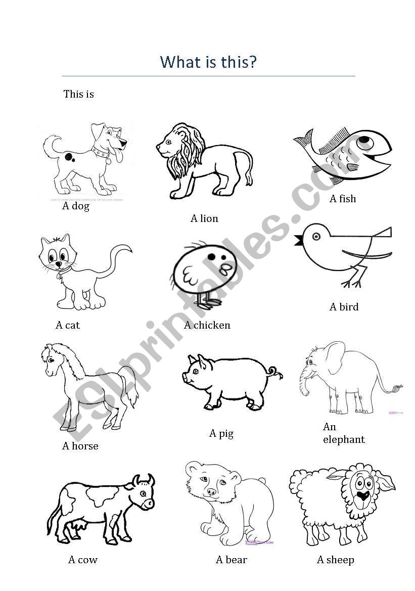 learn and colour your favourite animals
