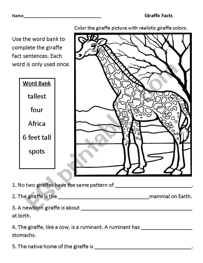 Giraffe Facts  worksheet