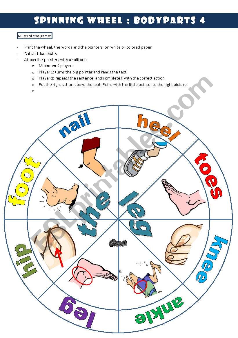 spinning wheel bodyparts 4 THE LEG