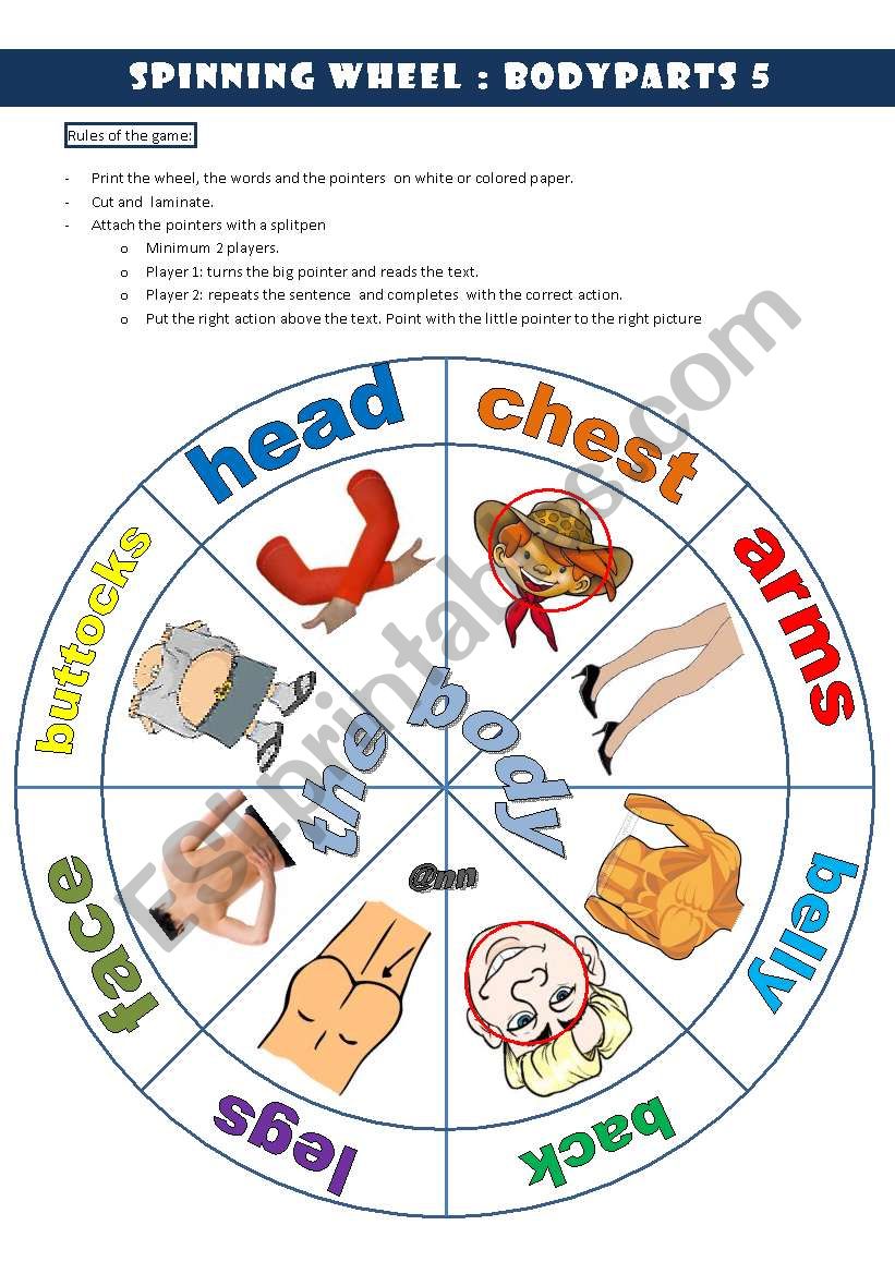 spinning wheel bodyparts 5 THE BODY