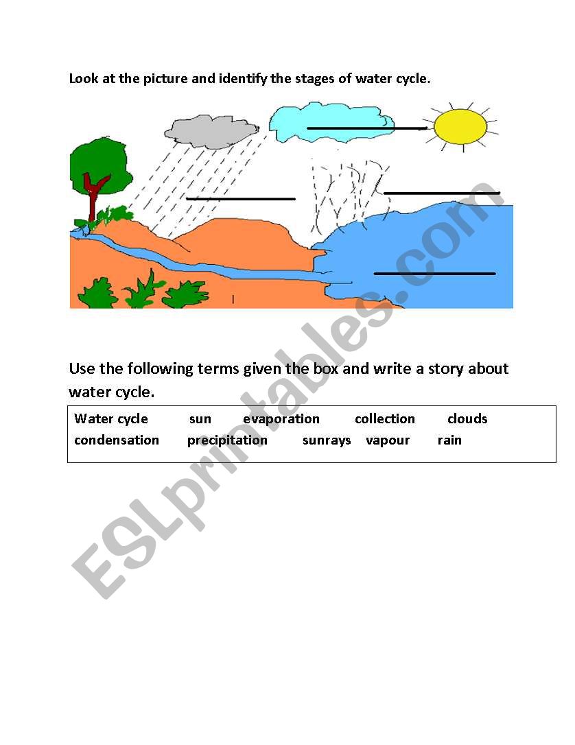 water cycle  worksheet