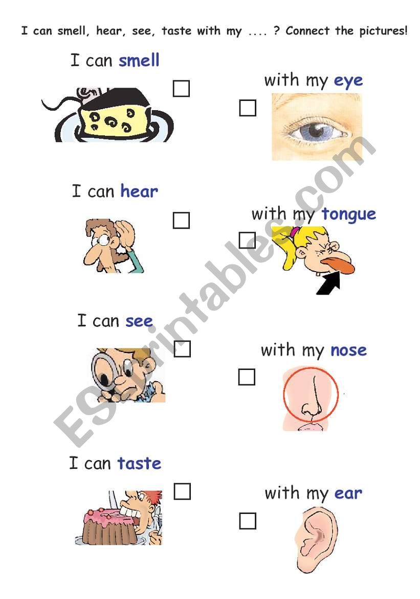 Worksheet: I can taste - smell - hear - see with my ......