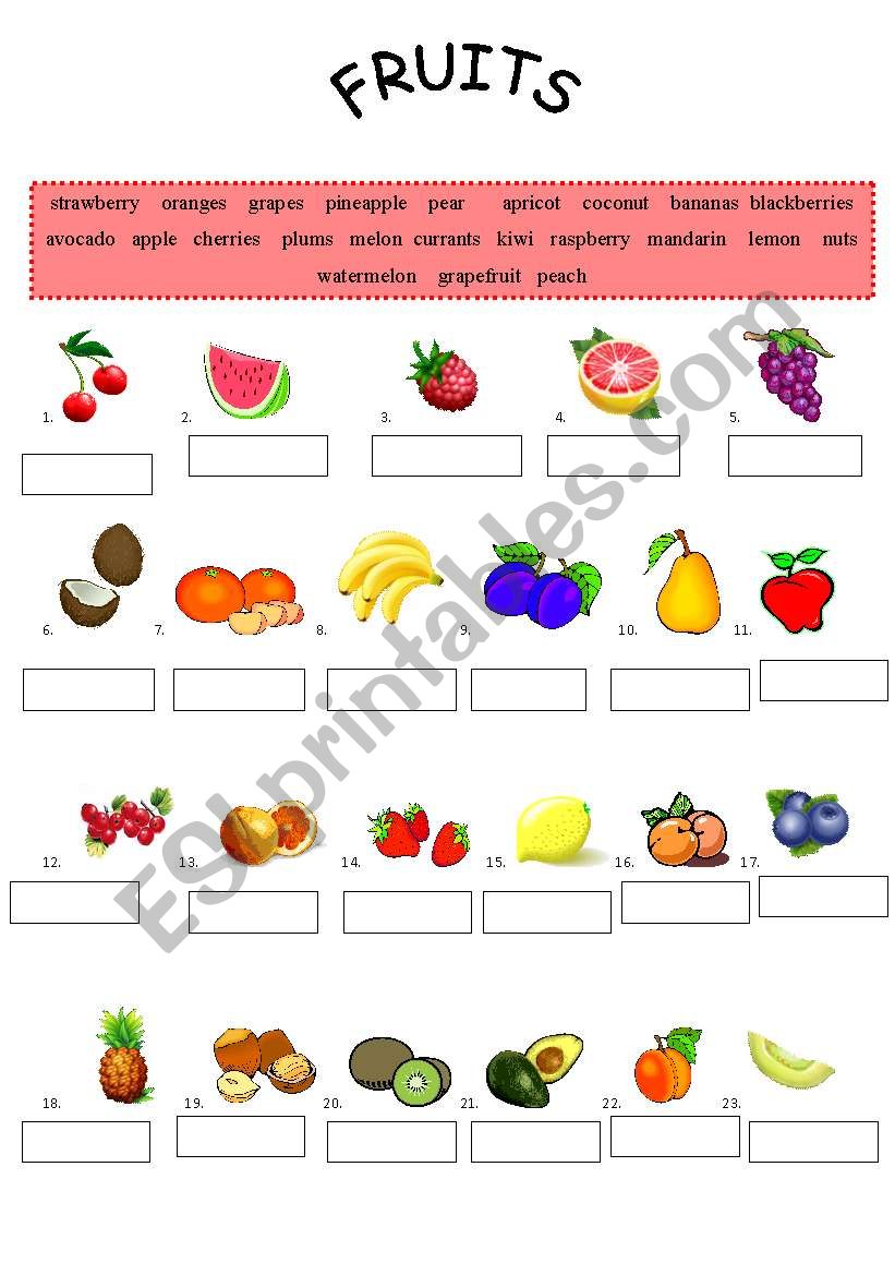 Fruits worksheet