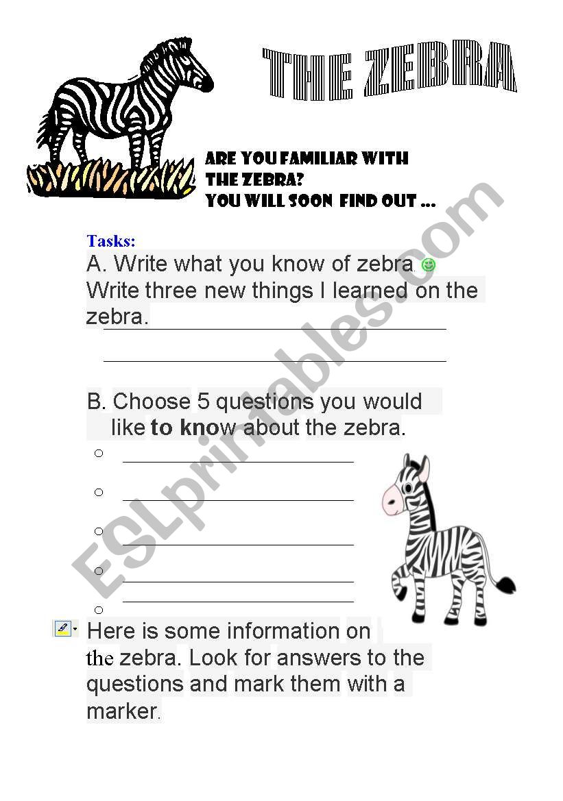 zebra worksheet