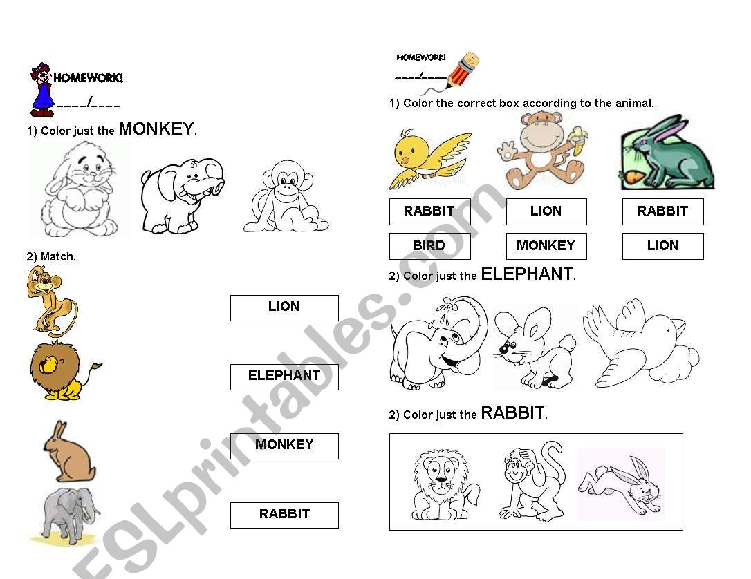 Animals worksheet