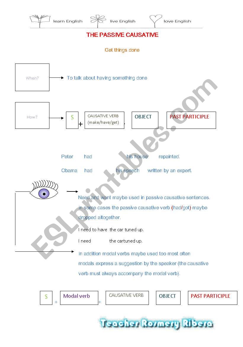 The Passive Causative worksheet