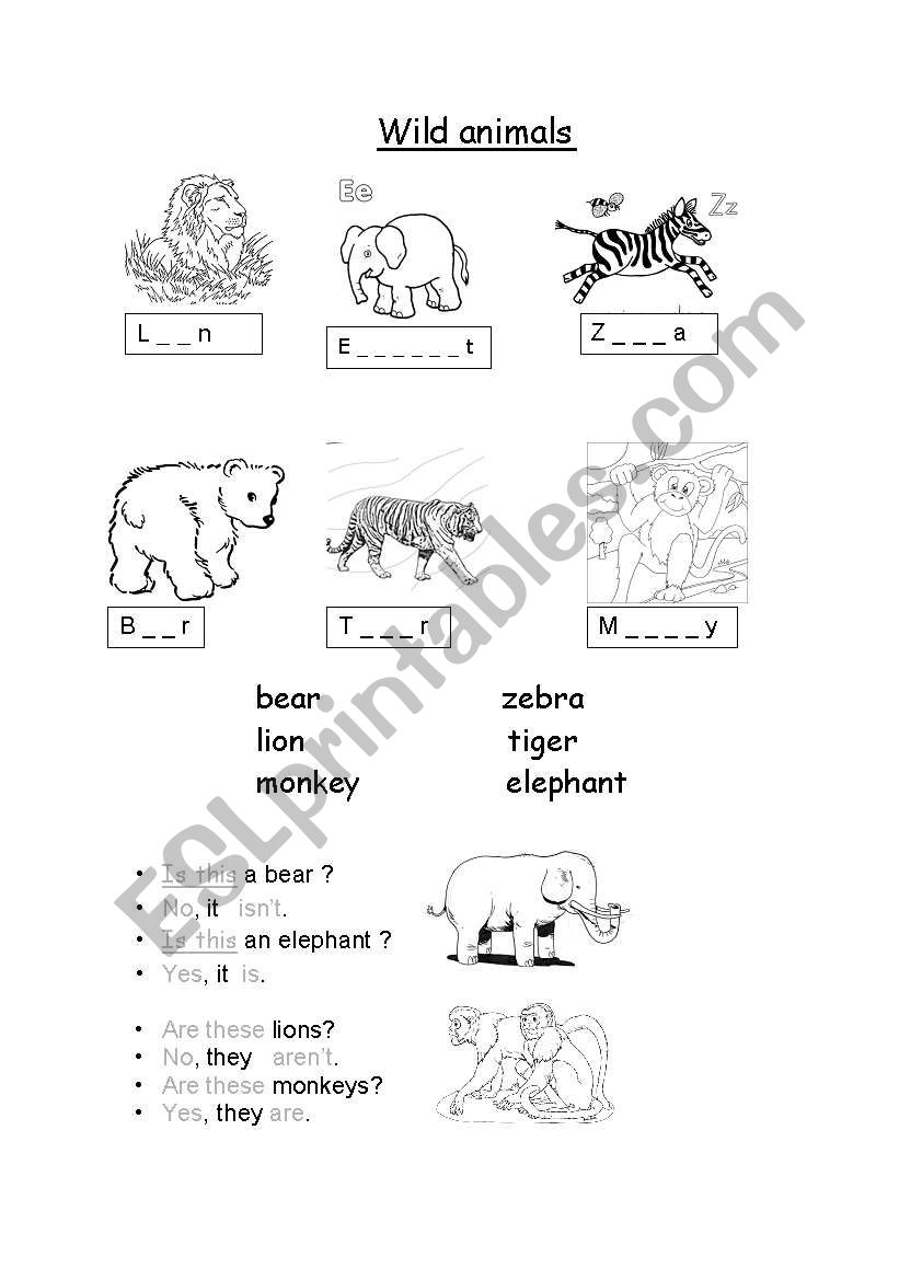 Wild animals worksheet