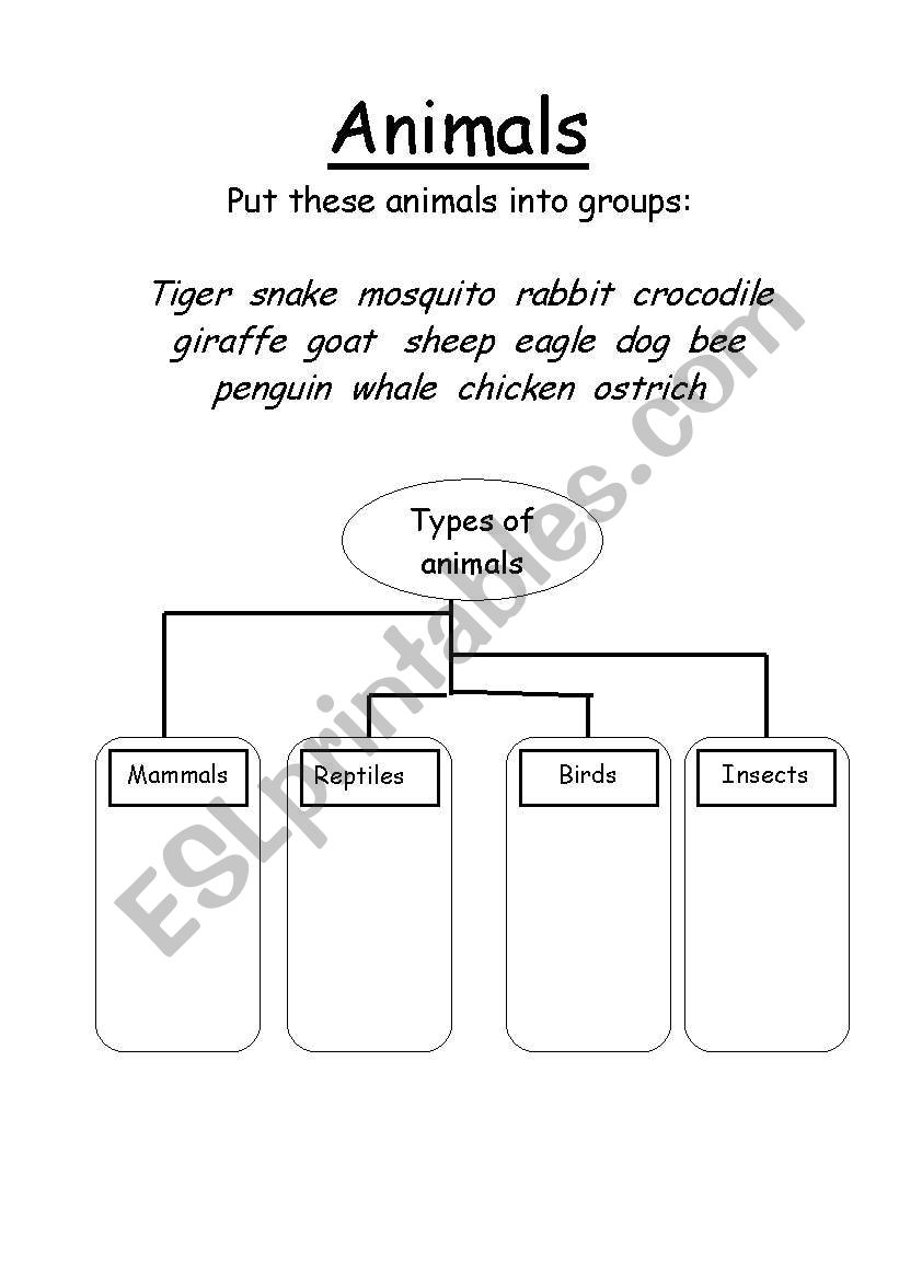 Animals worksheet