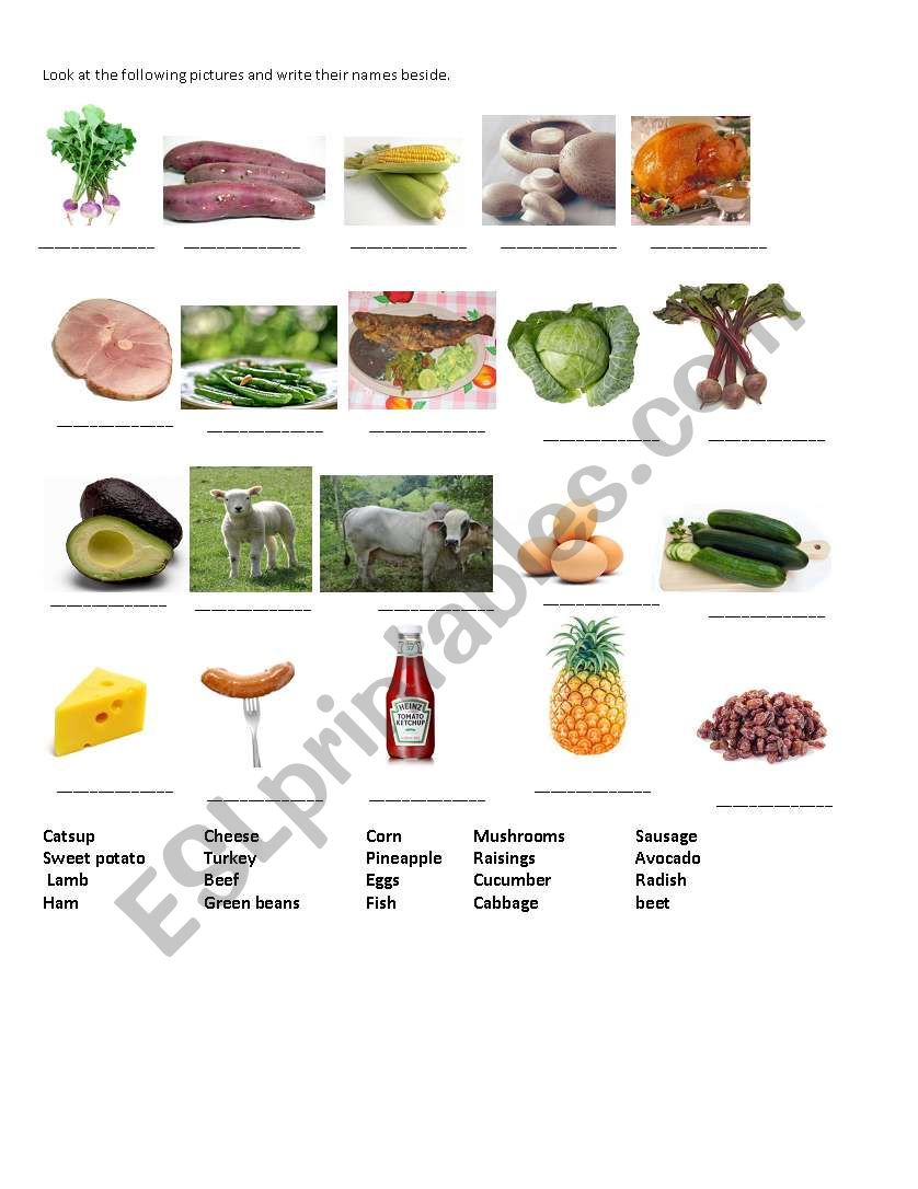 FOOD PICTURES worksheet