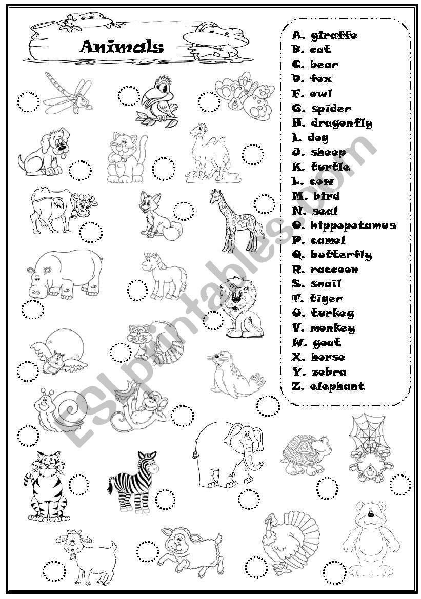 animals worksheet