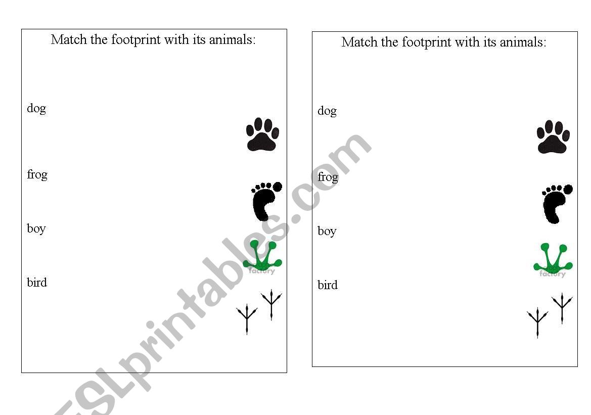footprint worksheet