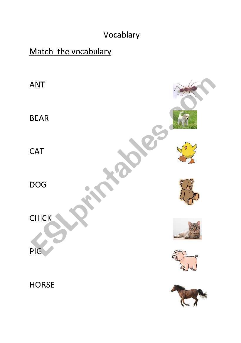 Vocabulary worksheet