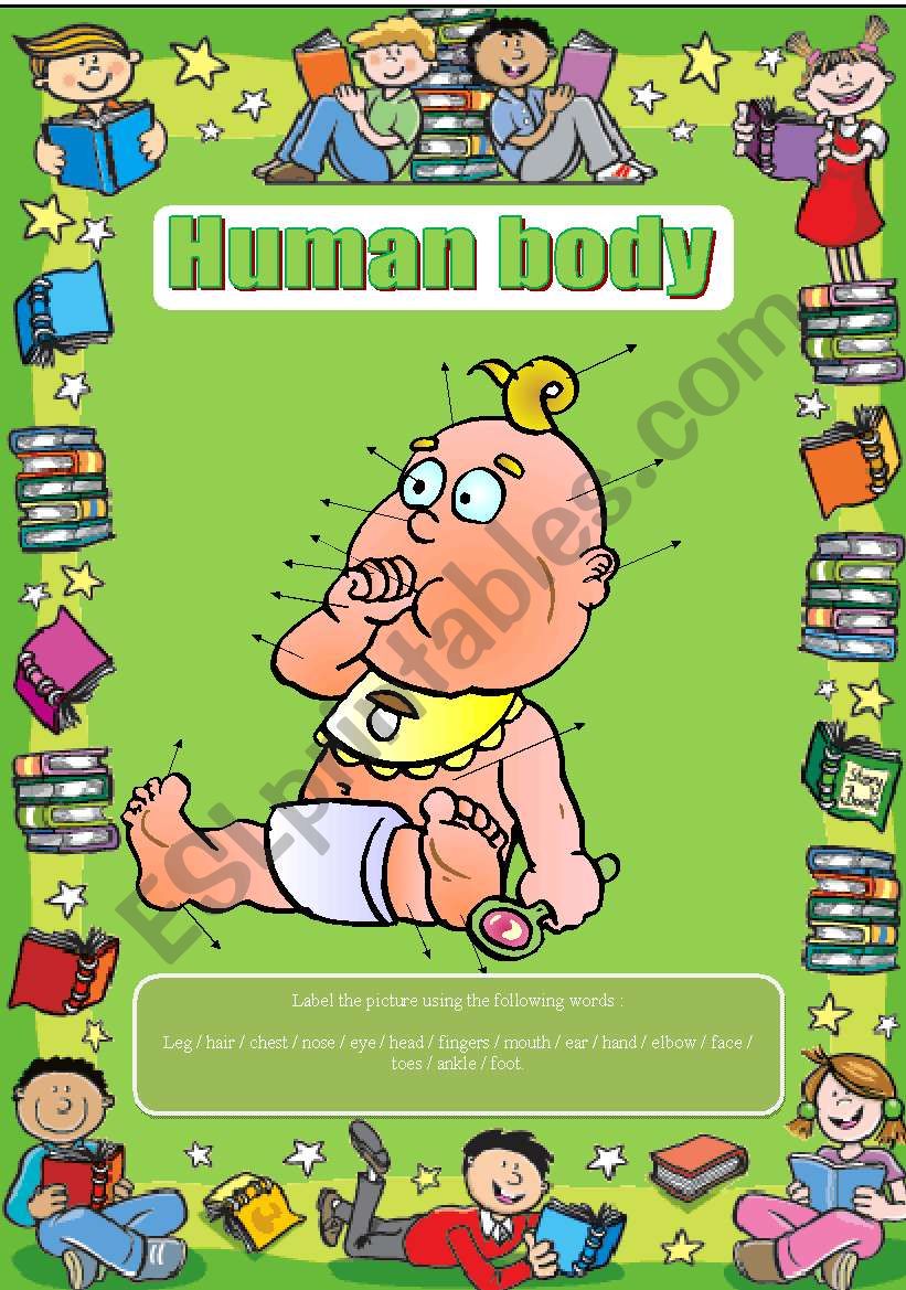 human body worksheet