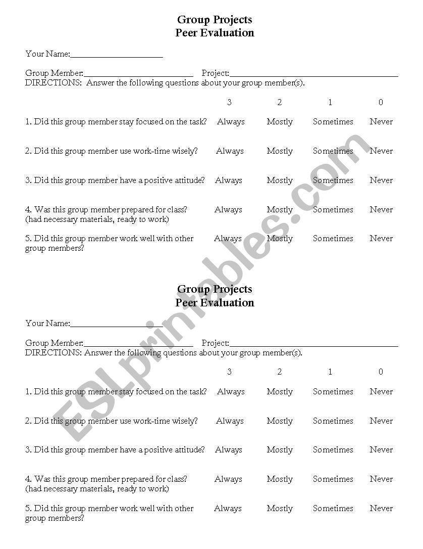 Peer Evaluation Form worksheet