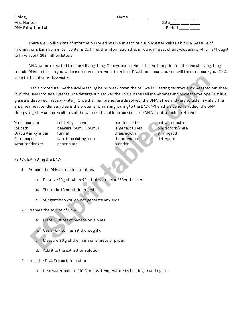 DNA lab worksheet