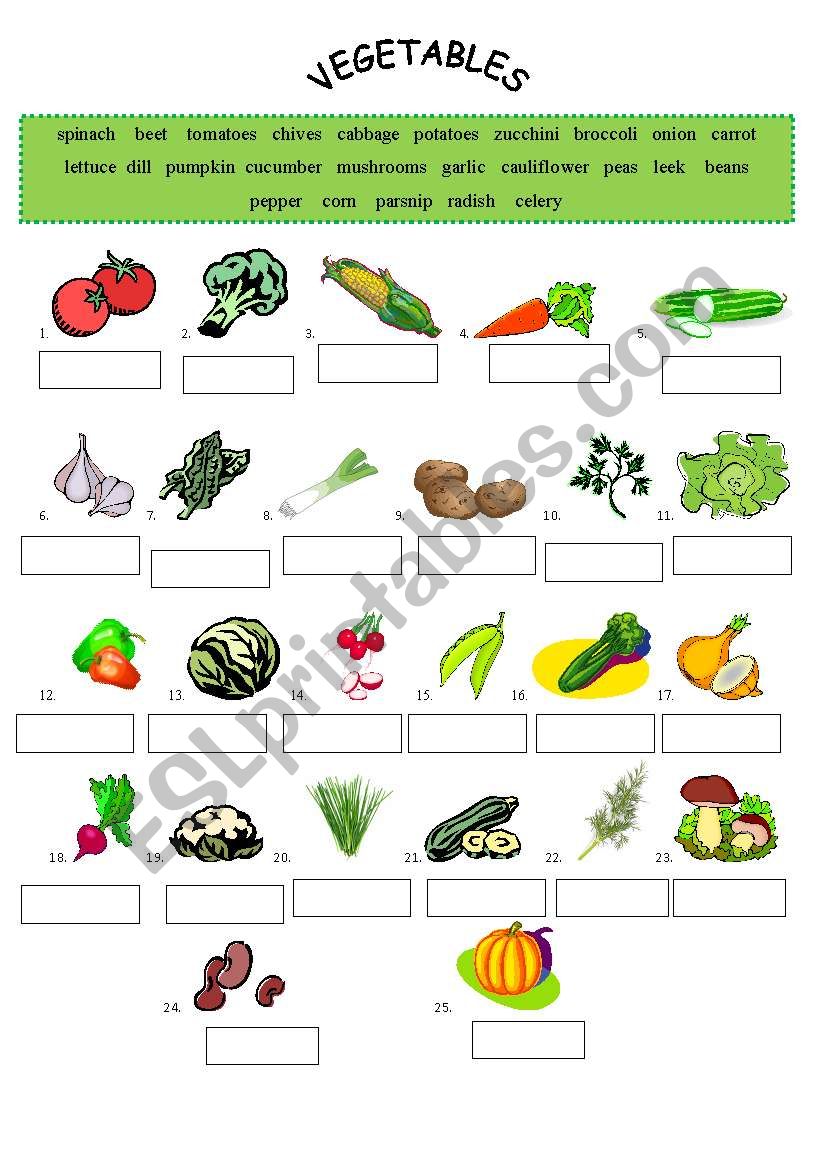 Vegetables worksheet