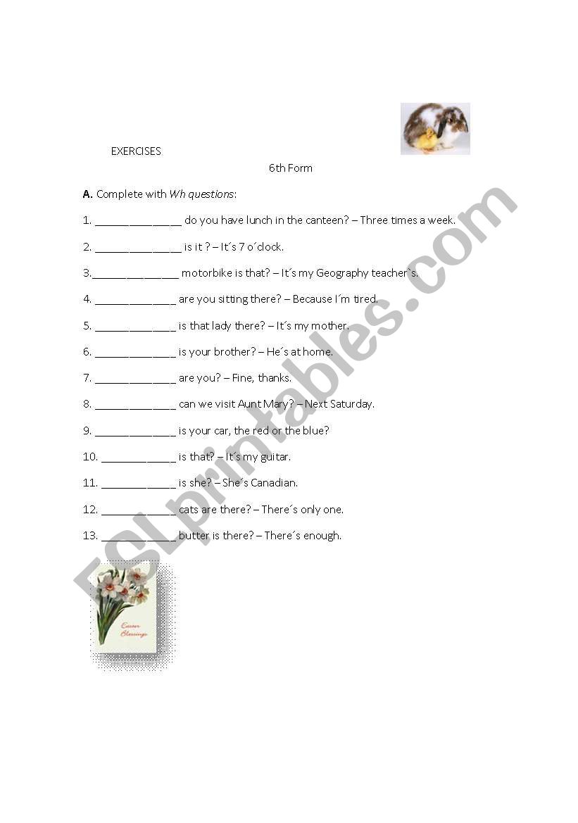 Wh- Question Worksheet worksheet