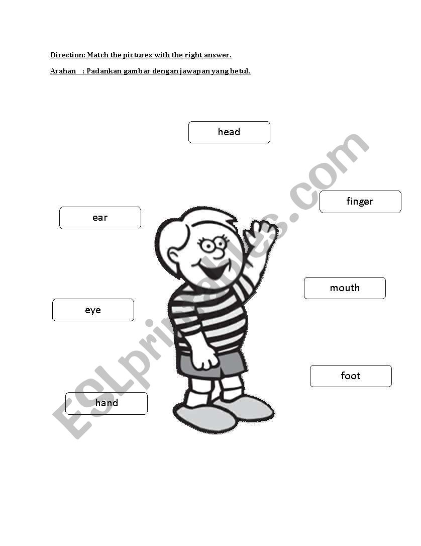 Simple Bodypart worksheet