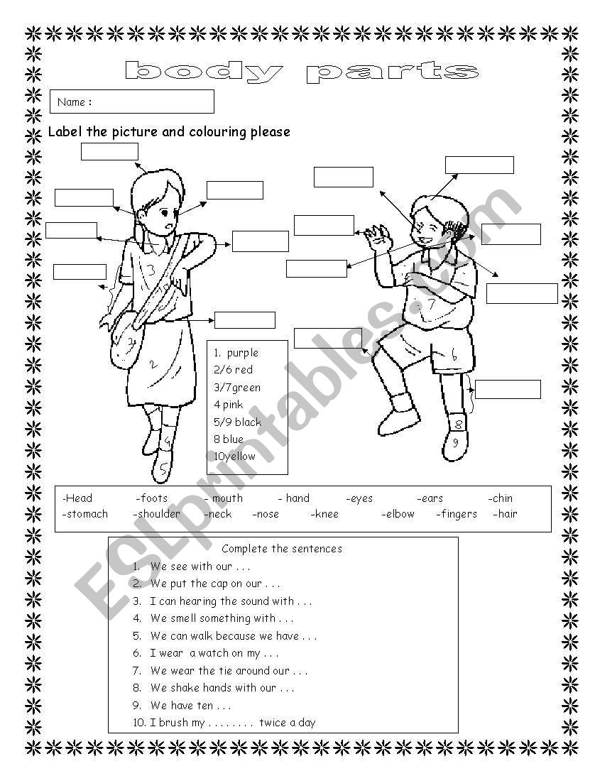 body parts worksheet