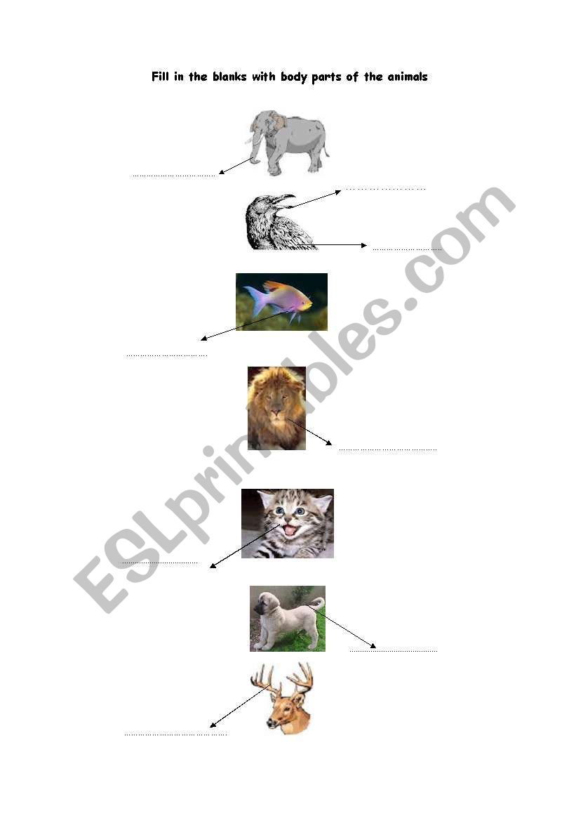 body parts of animals worksheet
