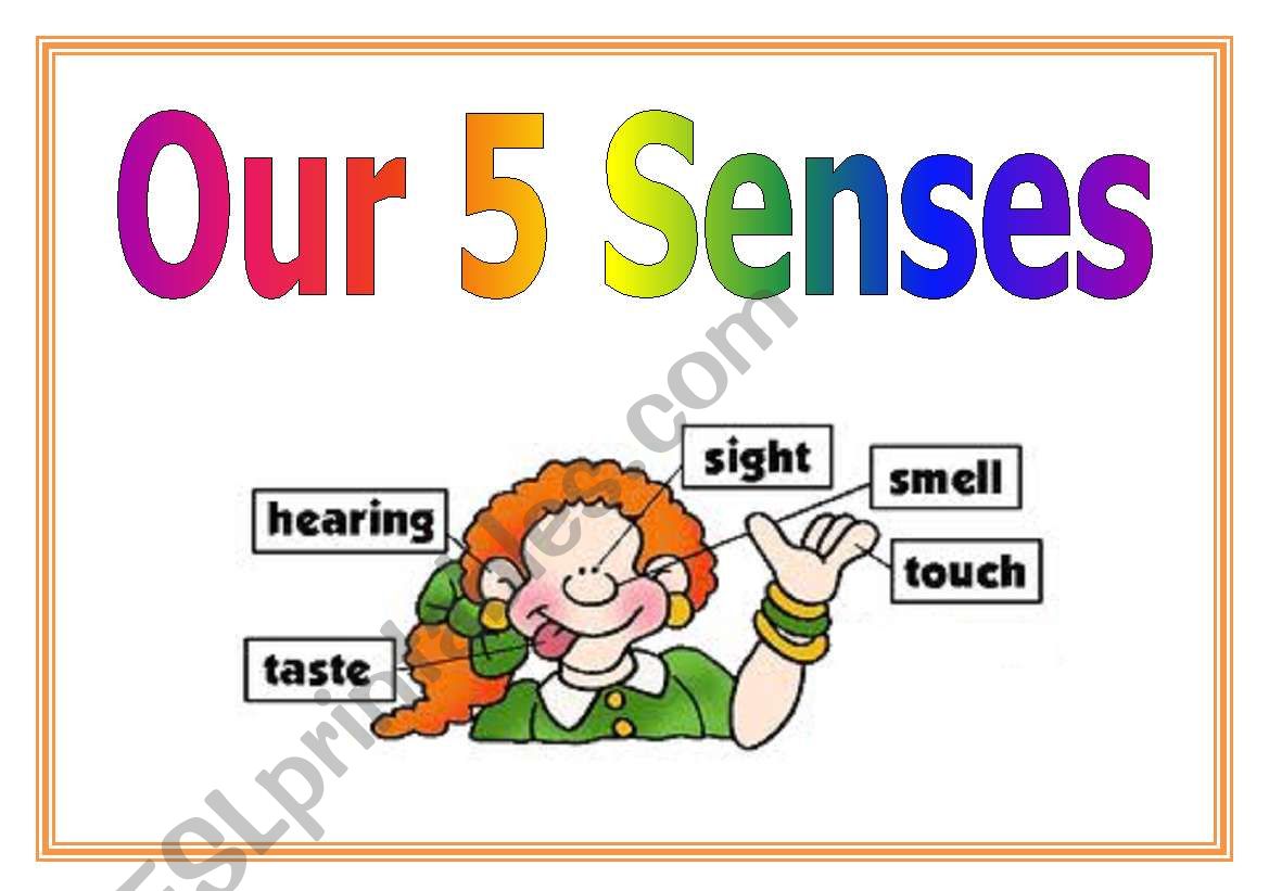 5 senses worksheet