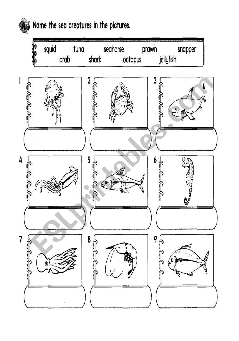 sea creatures worksheet