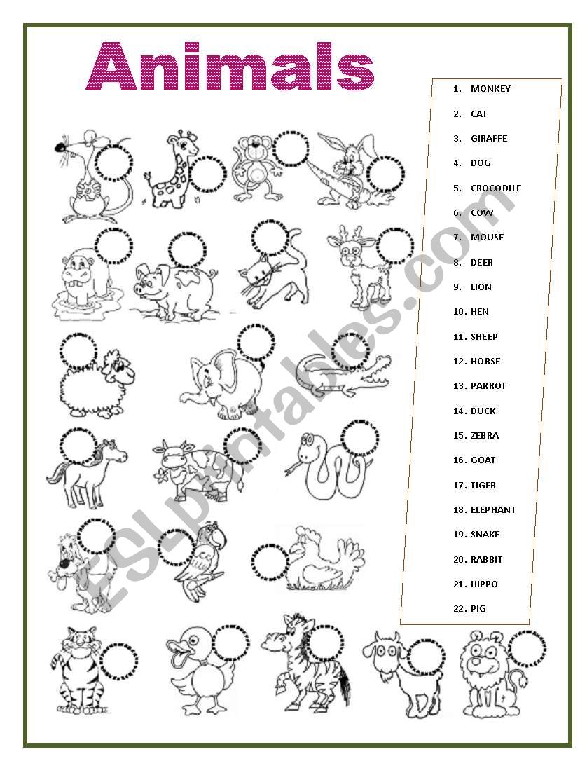 Animals worksheet