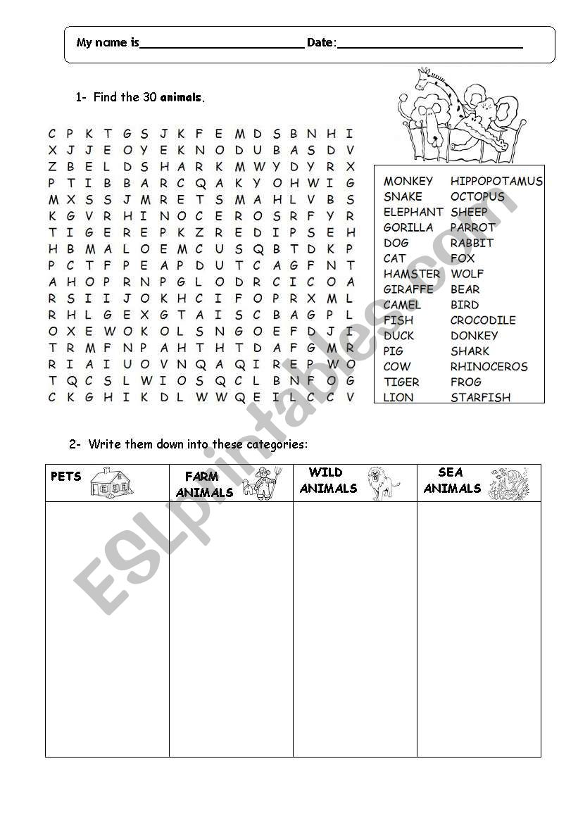 Animals worksheet