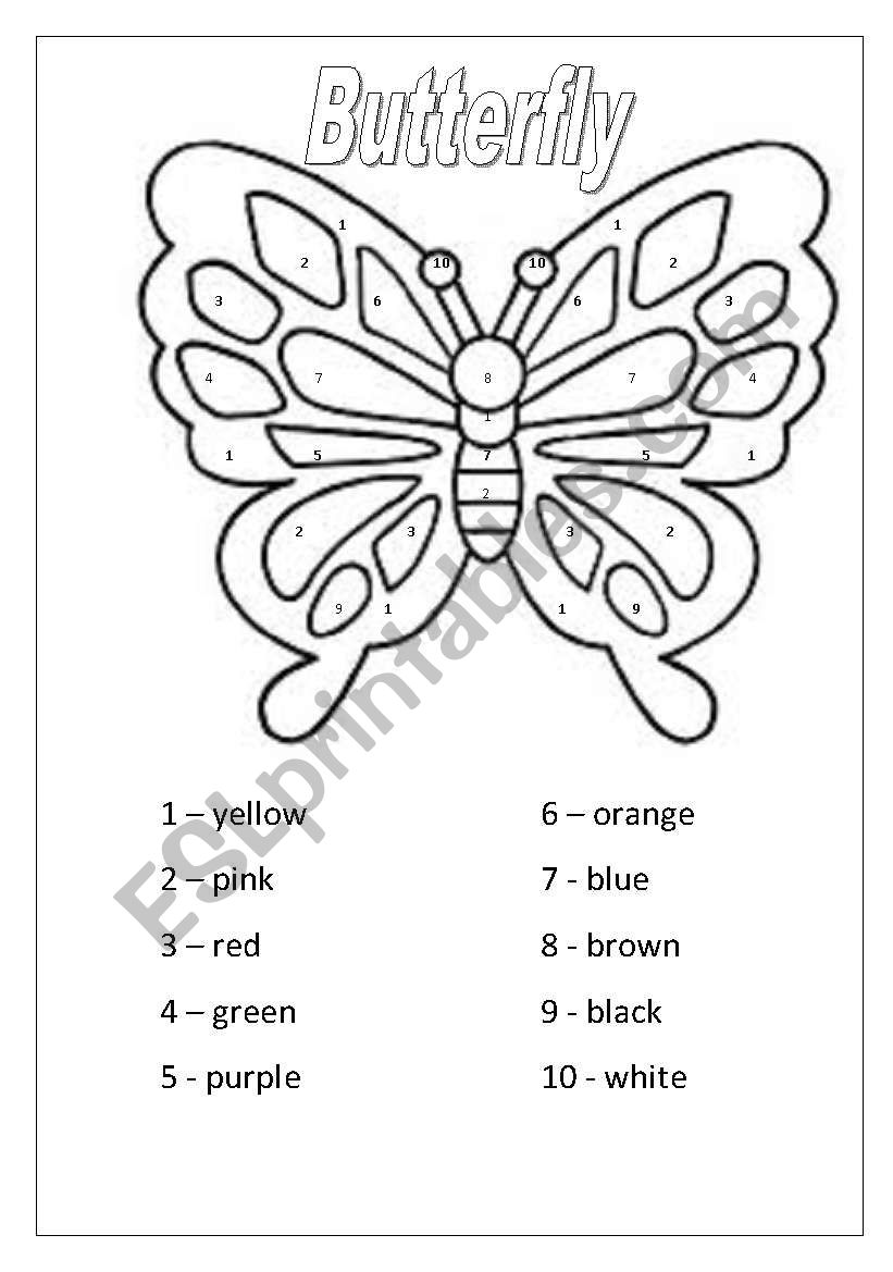 Butterfly worksheet