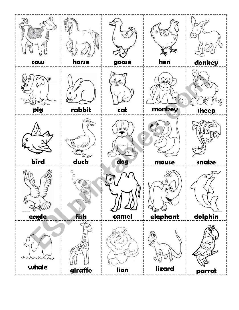 vocabulary (animals) worksheet