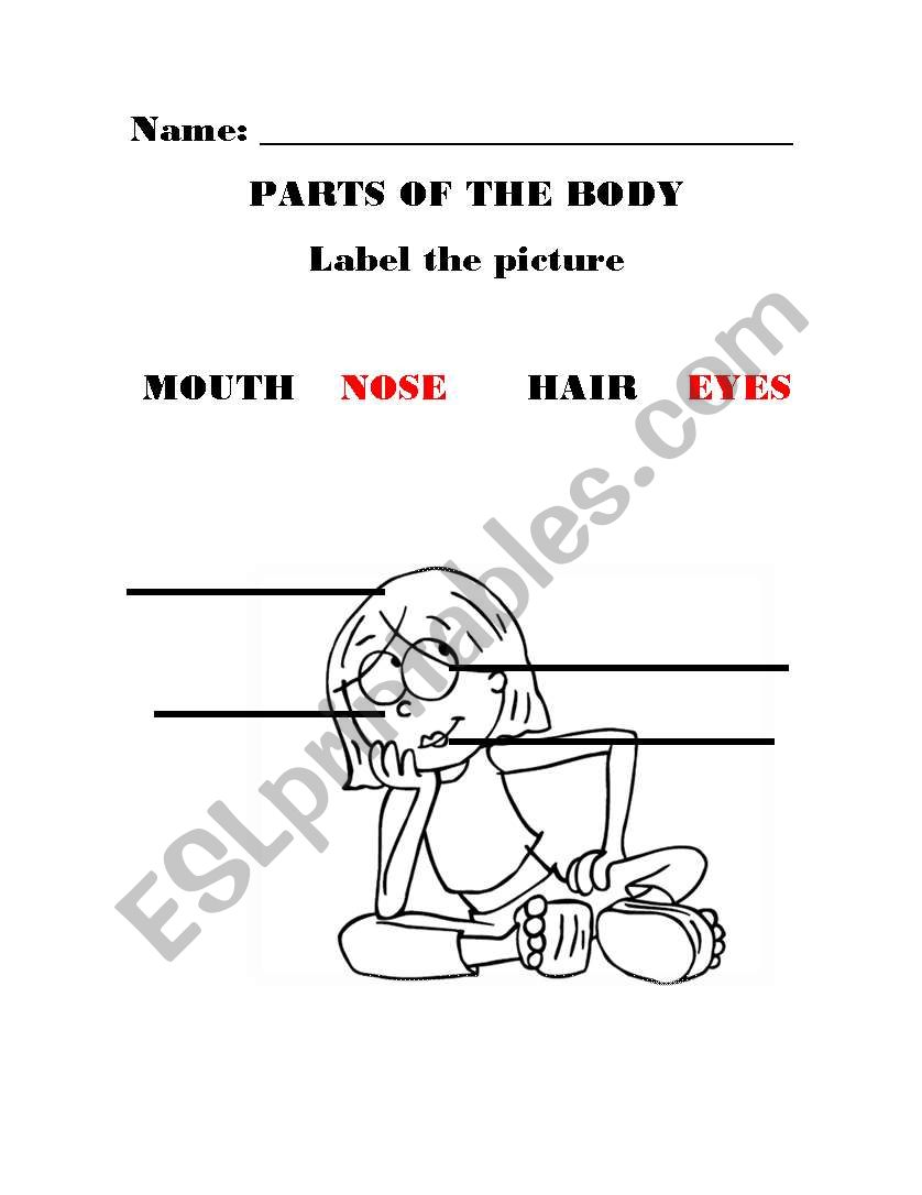 parts of the body worksheet