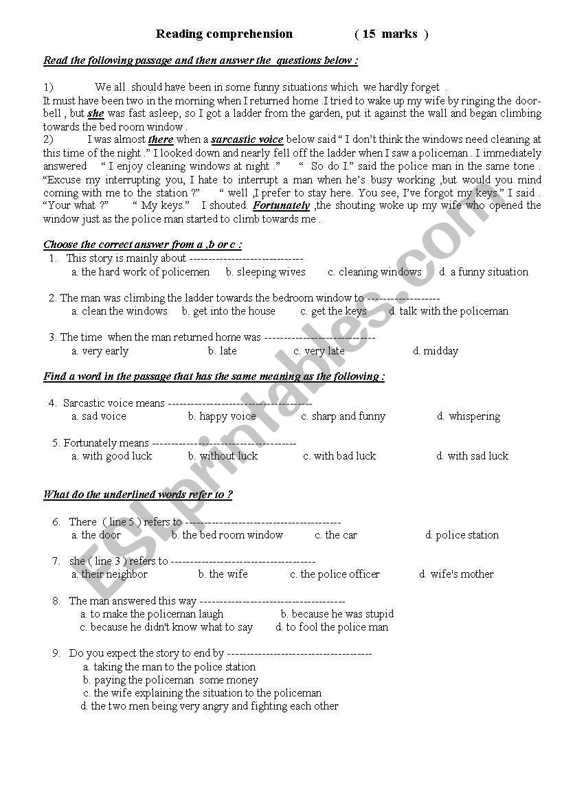 reading comprehension worksheet