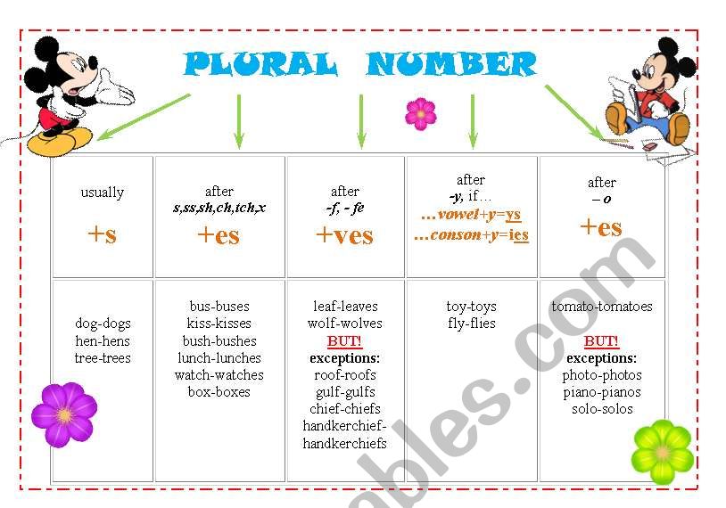 Plural of Nouns worksheet