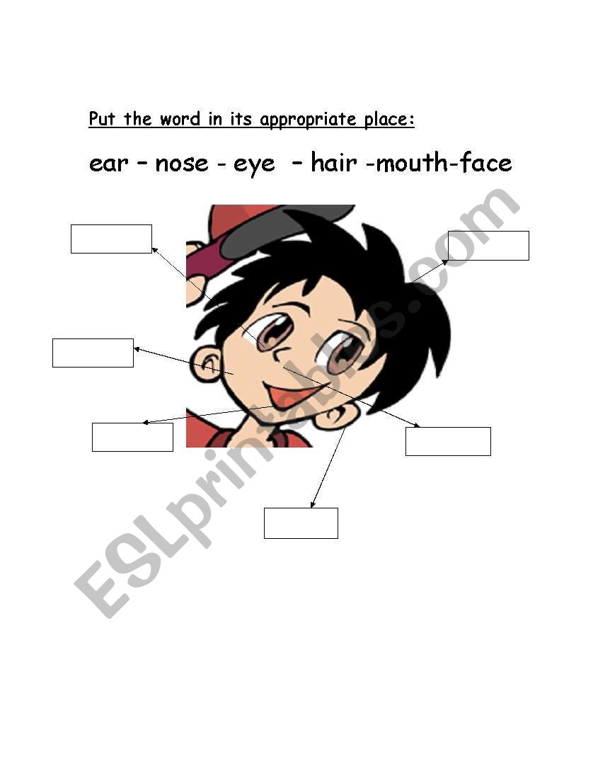 face worksheet