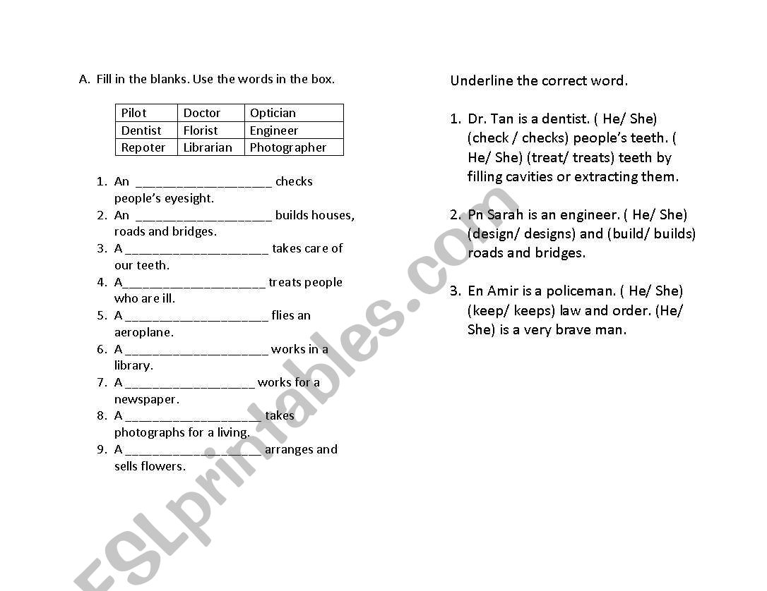 exercise worksheet