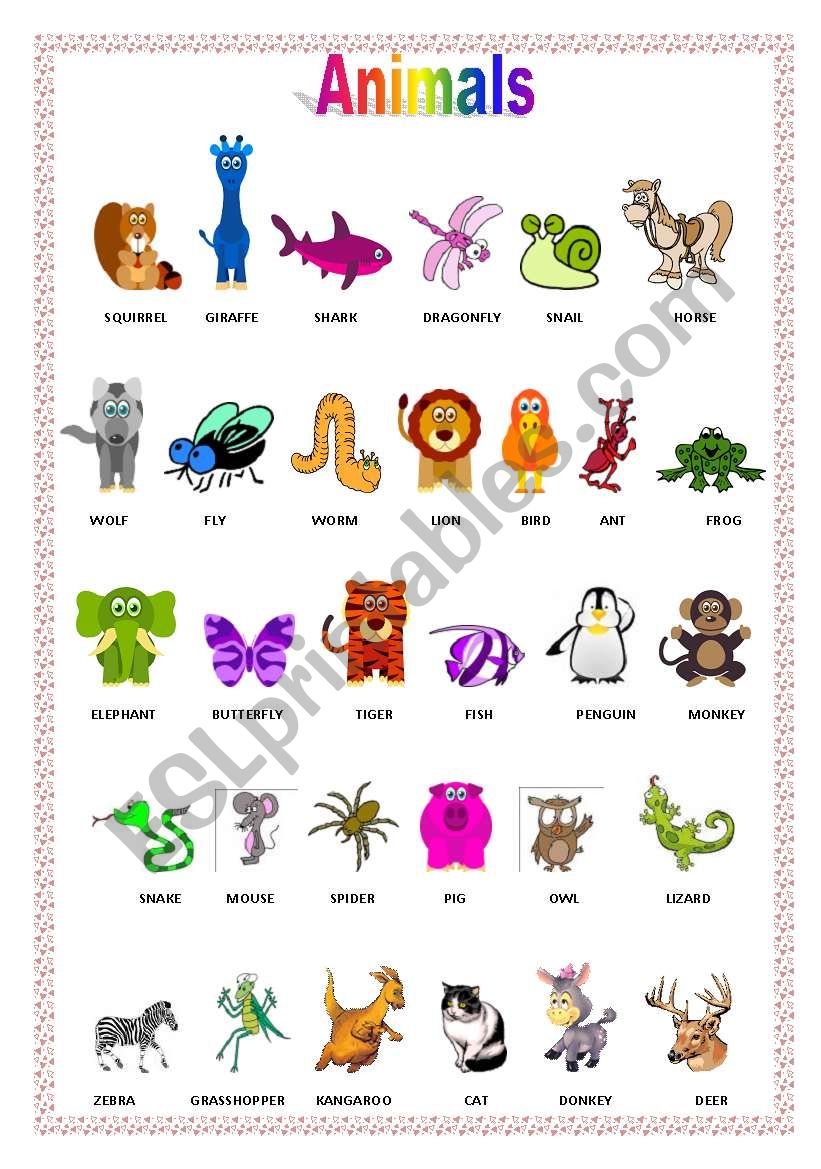 Animals worksheet