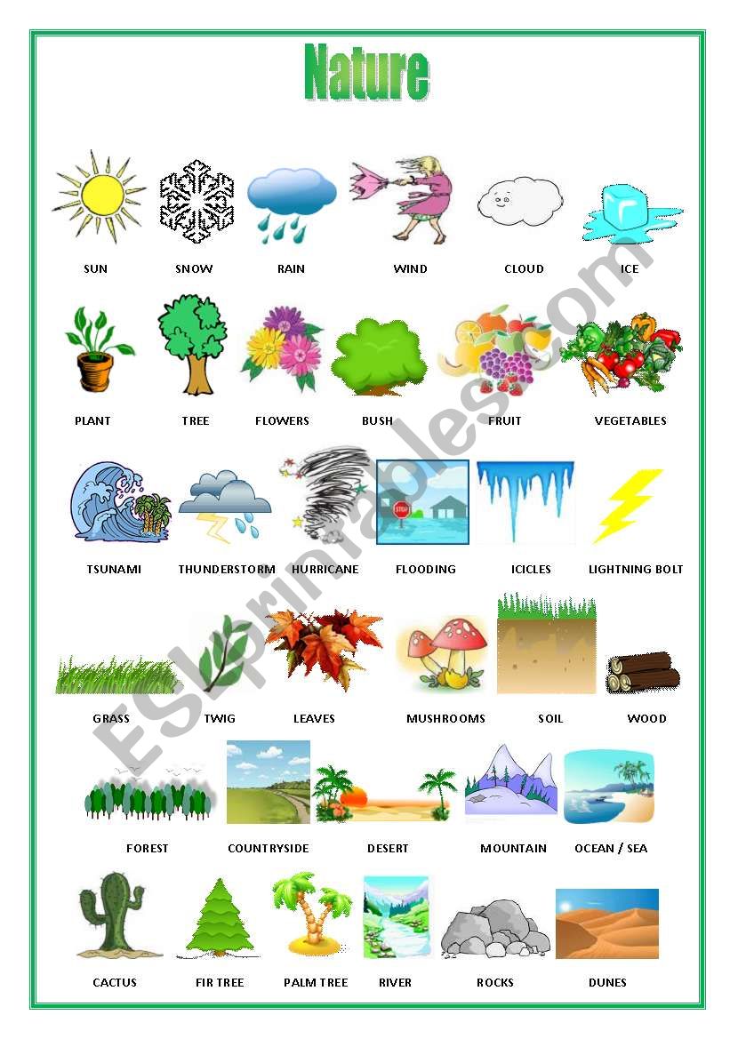 Nature worksheet