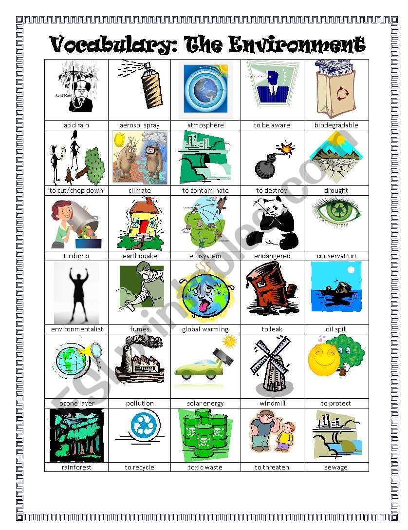 Environment Pictionary worksheet