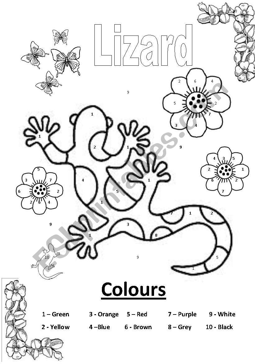 Lizard worksheet