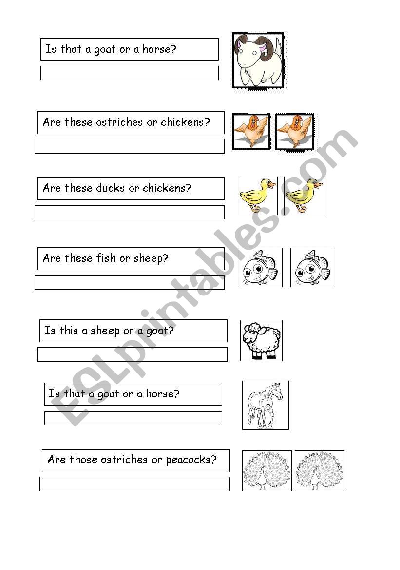 Question worksheet