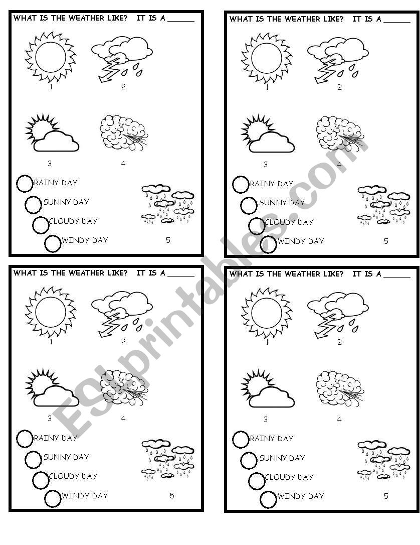 whats is the weather like? worksheet