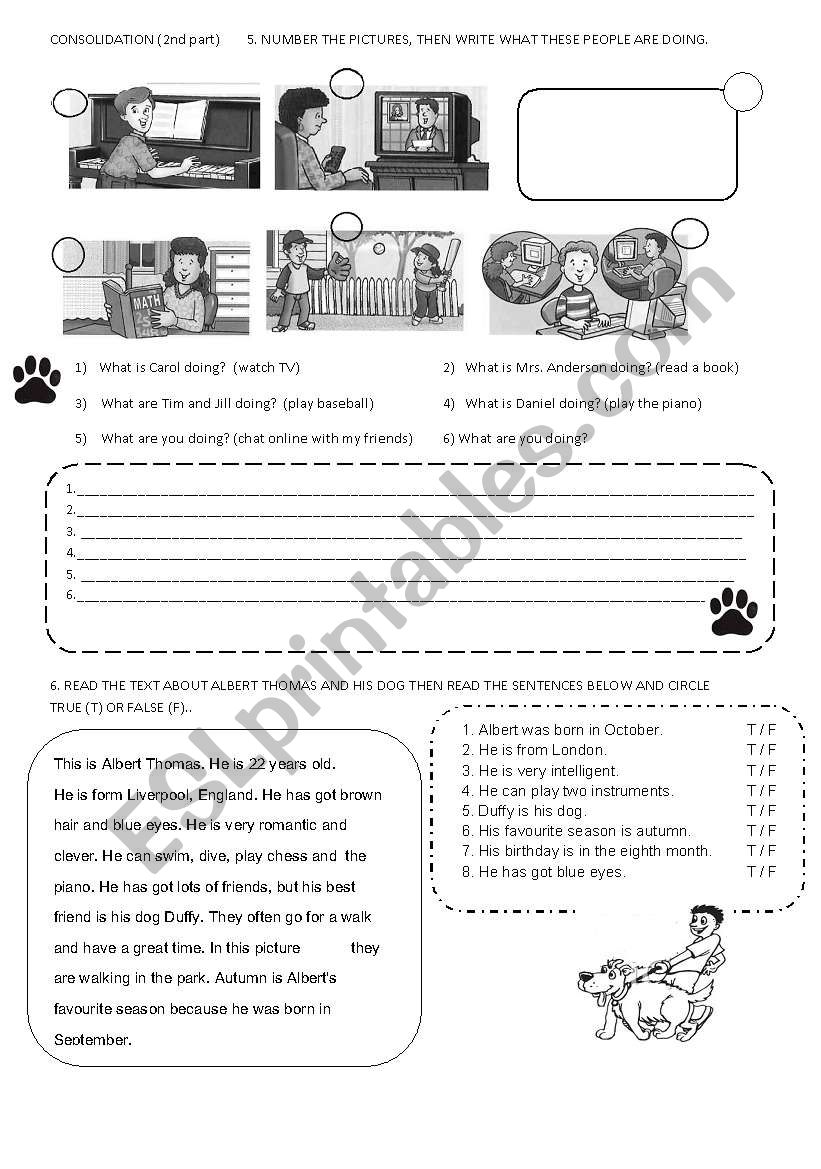 consolidation 2nd sheet worksheet