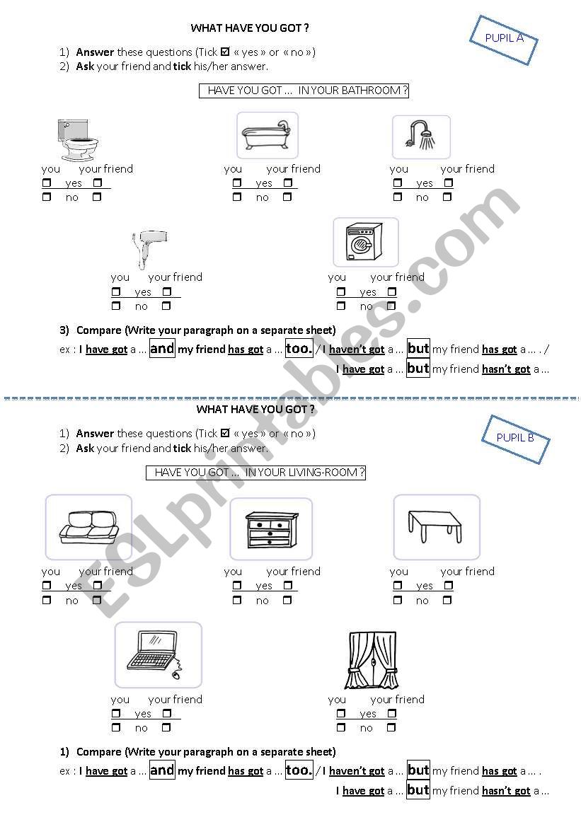 Have you got ...? worksheet