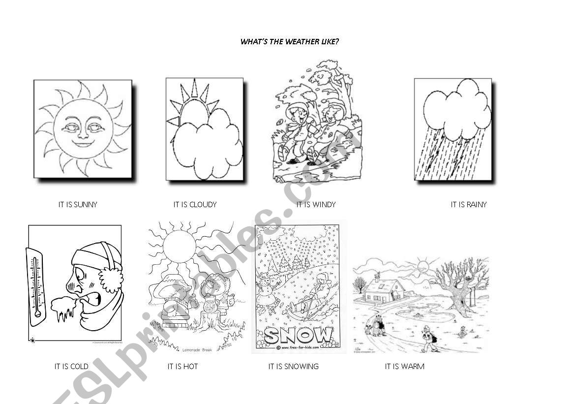 Weather worksheet