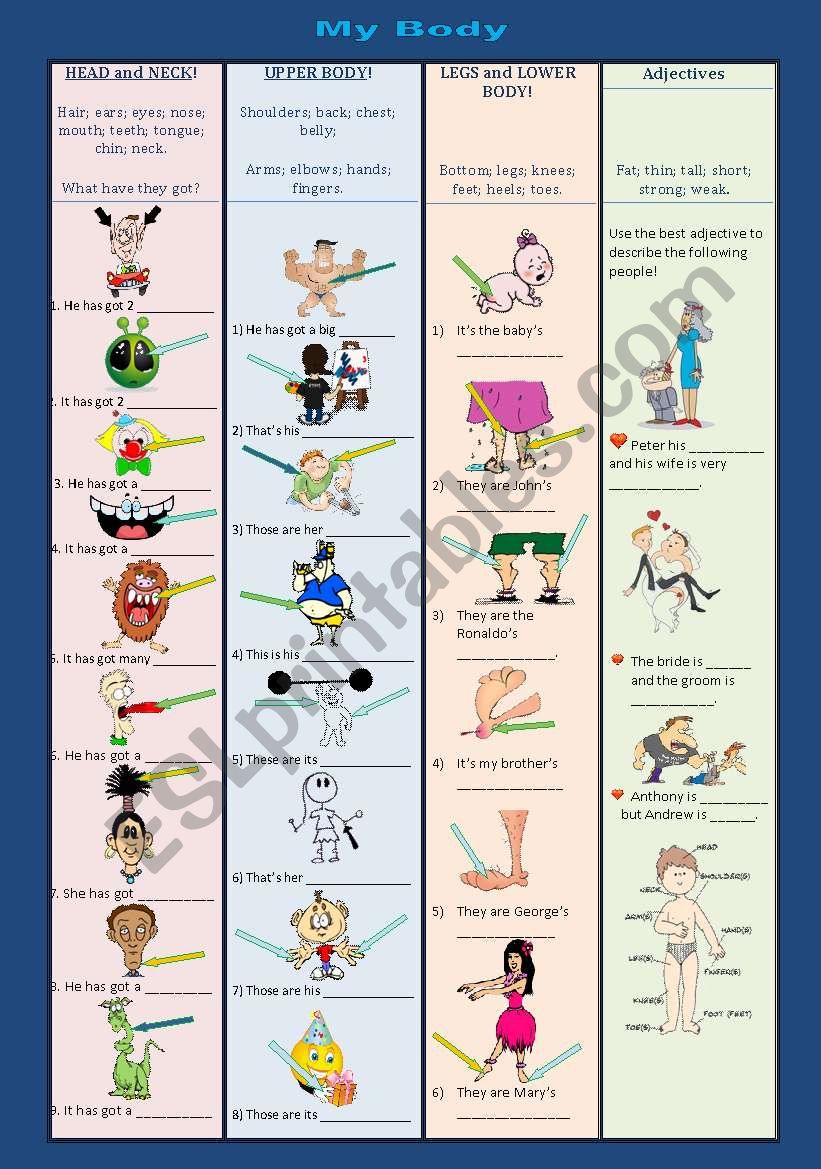 My body worksheet