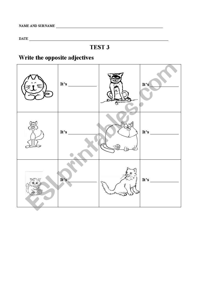 Write the opposite adjectives worksheet