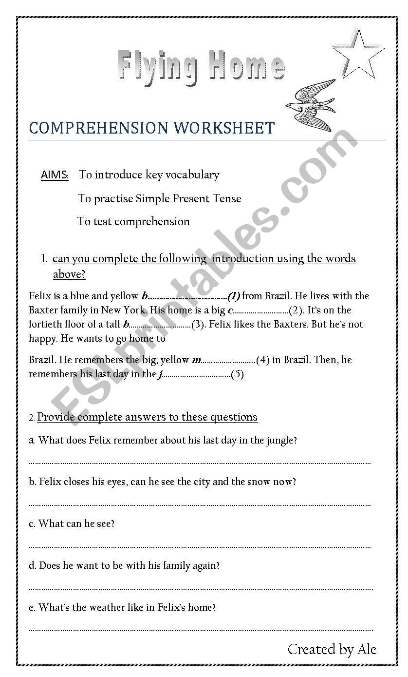 Flying home  worksheet