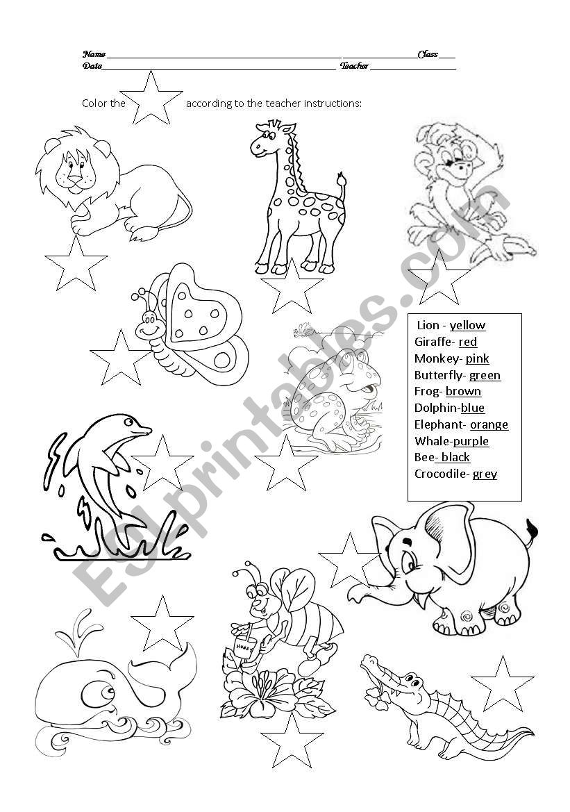 wild animals worksheet