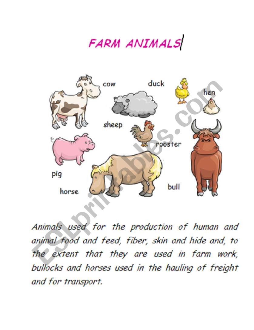 farm animals worksheet