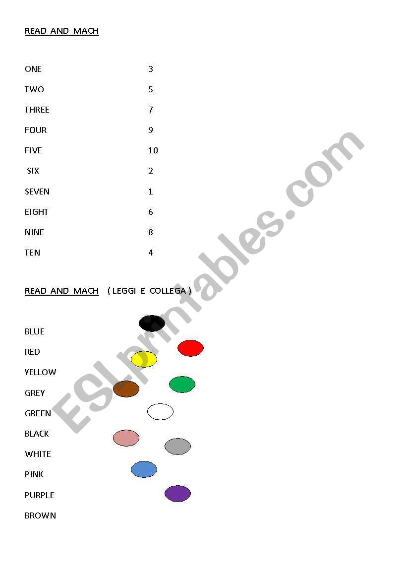 NUMBERS  AND COLOURS worksheet